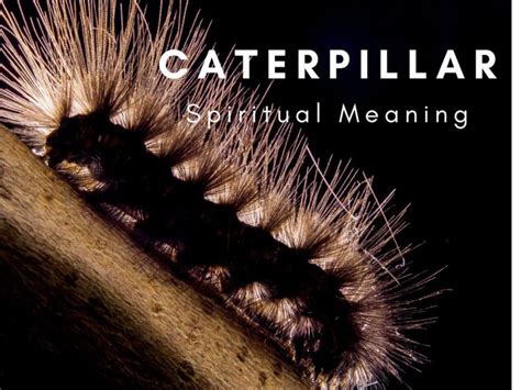 Deciphering the Symbolism Behind Caterpillar Skin in Dream Imagery