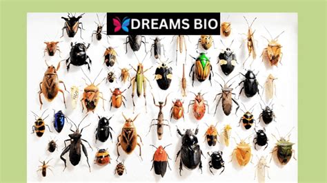 Decoding Bugs in Mouth Dreams: Unraveling their Hidden Significance through Dream Journaling