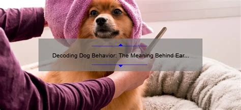 Decoding Canine Licking: Unraveling Its Symbolism