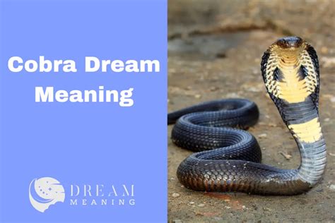 Decoding Cobra Attack Dreams: Uncovering Hidden Messages