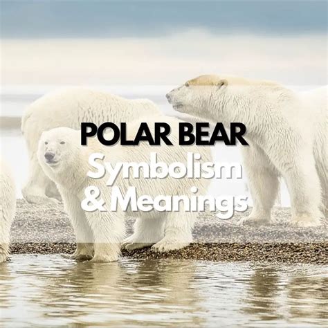Decoding Recurring Dreams: Deciphering the Symbolic Significance of Polar Bear Pursuits