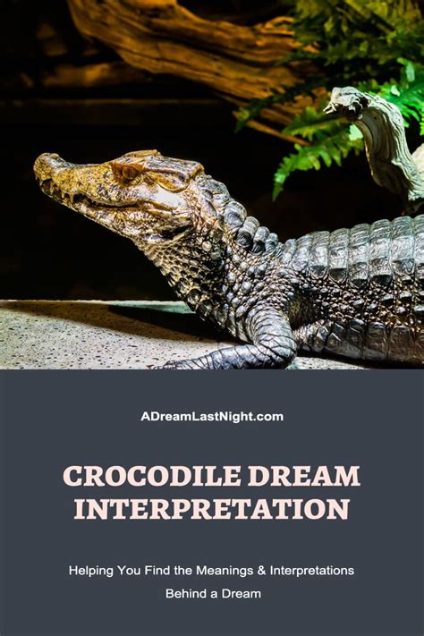 Decoding Various Scenarios in Crocodile Dream Interpretation