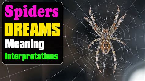 Decoding and Harnessing the Significance of Dreams featuring Beige Arachnids