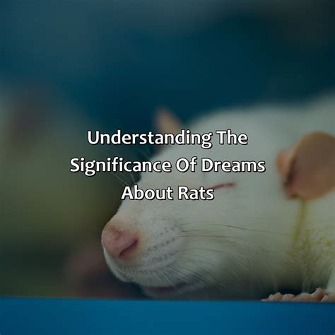 Decoding and Resolving Significance Associated with Rat-Inflicted Dreams