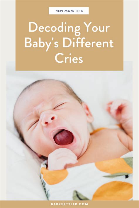 Decoding the Cries of a Sobbing Infant: Insights and Approaches