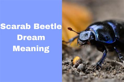 Decoding the Cryptic Communication: Exploring the Language of Scarabaeus Beetles