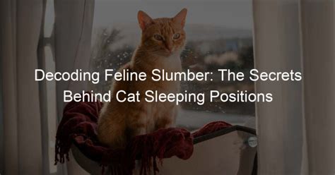 Decoding the Cryptic Imagery in Feline Slumber: An Analytical Insight