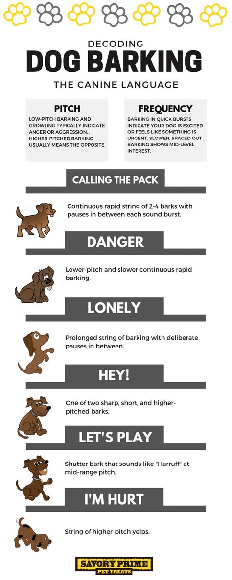 Decoding the Different Types of Canine Angry Barks