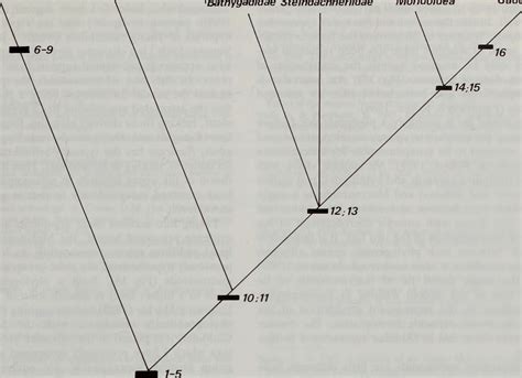 Decoding the Enigmatic Messages Concealed in Narrow Perch Scenarios