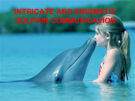 Decoding the Enigmatic Realm of Dolphin Reveries: Insights into Communication and Liberation