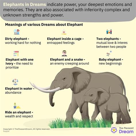 Decoding the Hidden Meanings Behind Tearful Elephants in Dreams