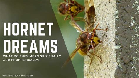 Decoding the Hidden Meanings of Hornet-Inflicted Nightmares