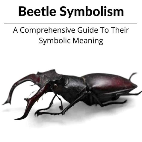 Decoding the Hidden Significance of Beetles: Revealing their Veiled Significations