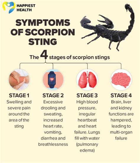 Decoding the Message: Understanding the Significance of Scorpion Stings