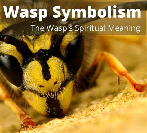 Decoding the Significance: Methods for Deciphering the Symbolic Significance within Wasp Assault Dreams