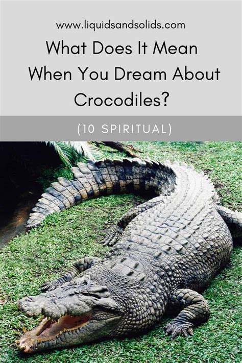 Decoding the Significance: Unraveling the Meanings behind Dreams Featuring Crocodile Bites