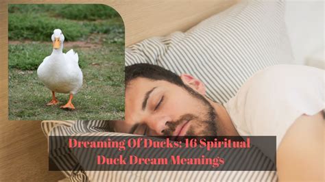 Decoding the Significance: Unveiling the Essence of Ducks in Dream Interpretation