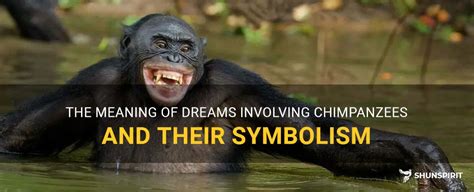 Decoding the Significance of Chimpanzee Dream Patterns