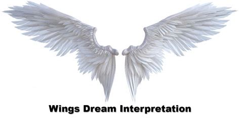 Decoding the Significance of Fractured Wings in the Interpretation of Dreams