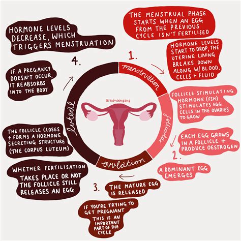 Decoding the Subliminal Messages: Deciphering the Meaning behind Excessive Menstrual Flow