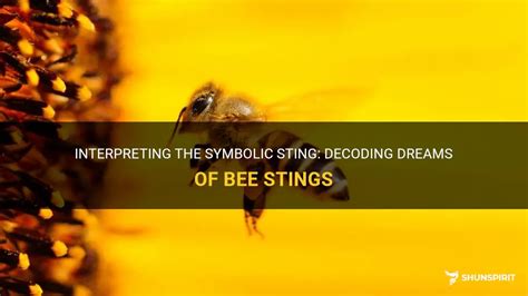 Decoding the Symbolic Message of Bees on Your Visage in a Dream