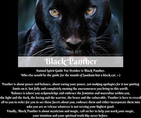 Decoding the Symbolic Significance of Eliminating an Ebony Panther