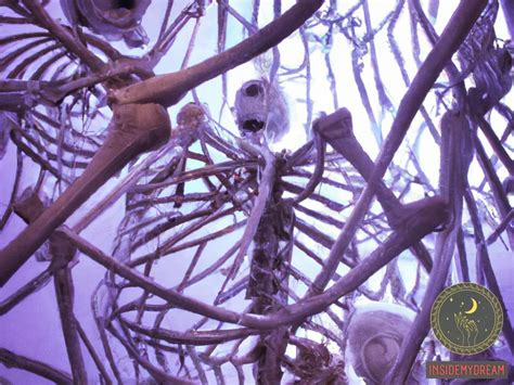 Decoding the Symbolic Significance of Various Types of Human Bones in Dreams