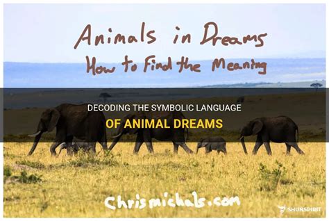Decoding the Symbolism of Animal Dreams