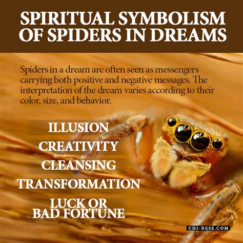 Decoding the Symbolism of Arachnids in Dreams