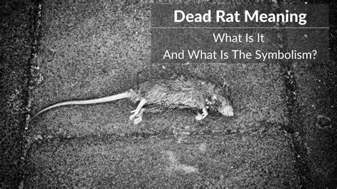 Decoding the Symbolism of Deceased Infantile Rodents