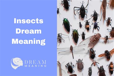Decoding the Symbolism of Insect Flight in Dreams