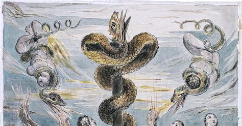 Decoding the profound terror: Psychological analysis of encounters with serpents