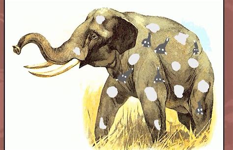 Delving into the Distorted: The Symbolism of Aberrant Pachyderms