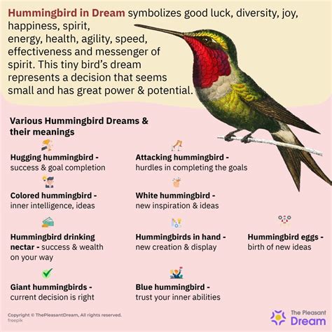 Delving into the Psychological Significance of Hummingbird Encounters in Dreams
