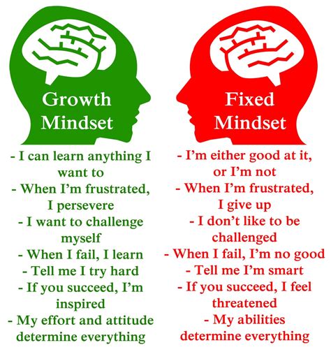 Develop a Growth Mindset and Stay Persistent