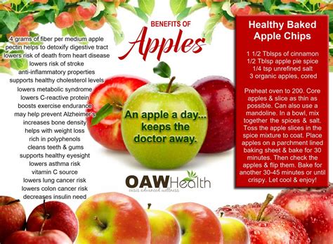 Digestive Health: Apples as a Natural Source of Fiber