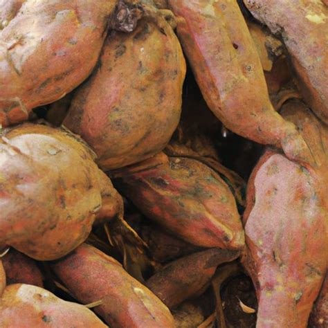 Discover the Astonishing Health Benefits of Nutrient-Packed Yams