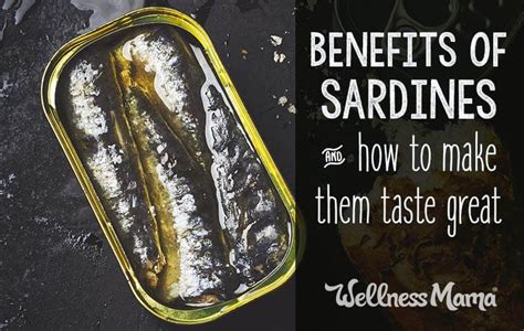 Discover the Fantastic Reasons to Make Sardines Your Ultimate Investment: Incredible Well-being and Gastronomic Pleasure