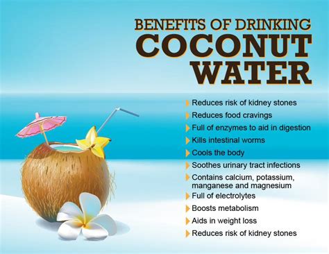 Discover the Health Benefits of Nourishing Coconut Water