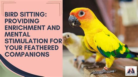 Discover the Pleasures of Having a Beloved Feathered Companion
