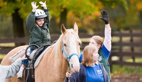 Discover the Relationship between Equine Therapy and Personal Development