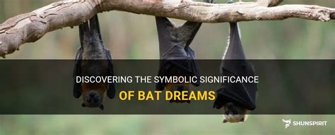 Discovering Significance: Exploring the Interpretation and Application of Bat Dreams for Personal Growth