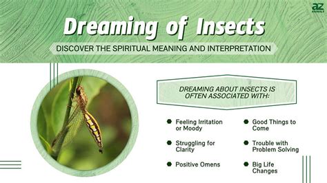 Discovering the Significance of Insects in Oral Dreams