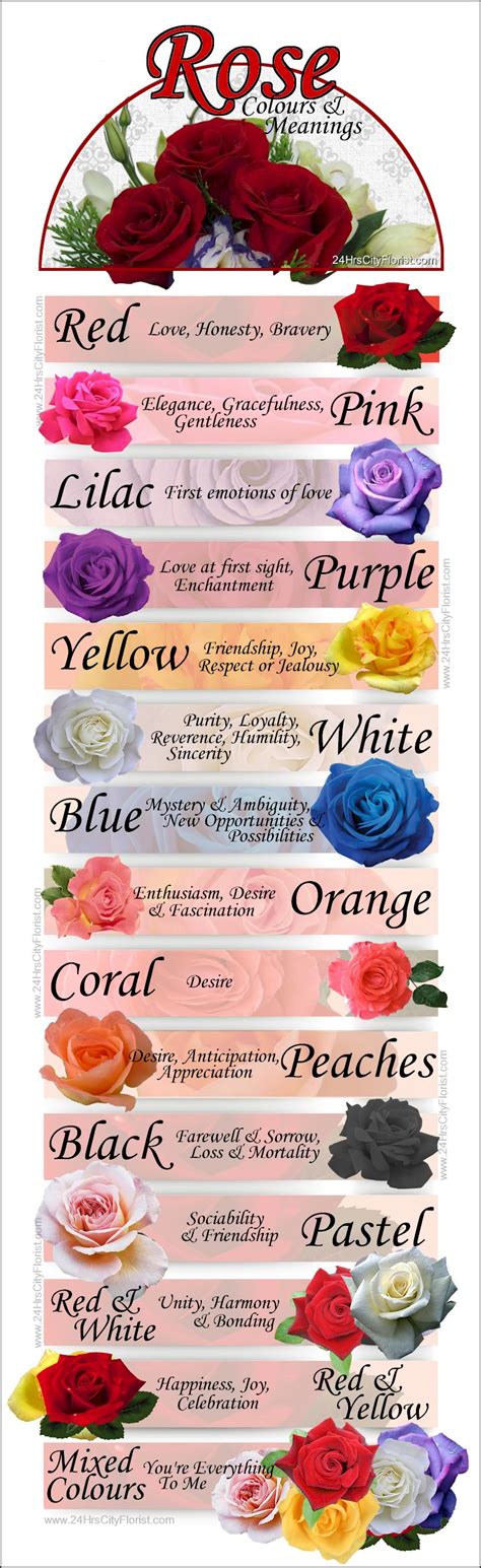 Discovering the Subtle Language of Roses: Unraveling the Significance of Various Colors