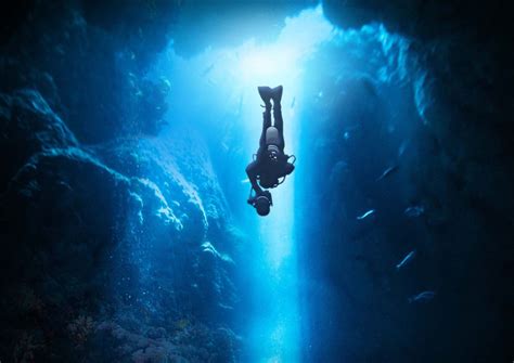 Dive into the Deep: Uncovering the Wonders of the Ocean