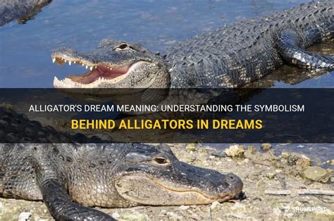Diving into the Depth: Unveiling the Symbolism of Alligators in Dreams