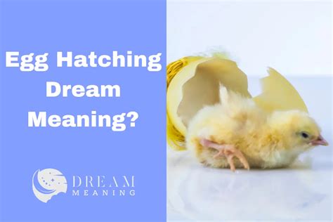 Diving into the Symbolism of Egg Hatching Dreams