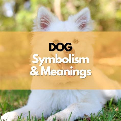 Dogs and Their Symbolic Representation