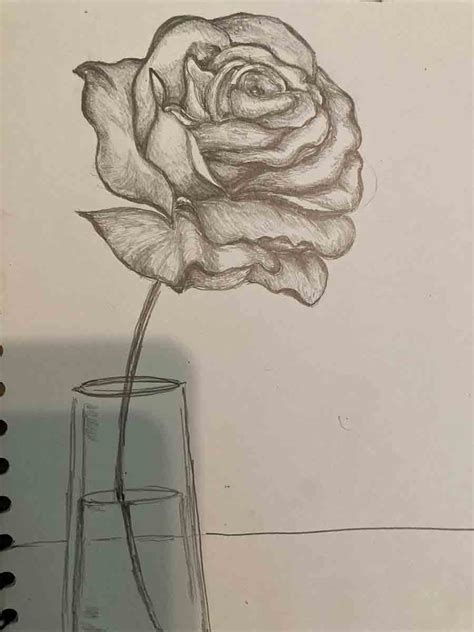 Drawing from Life: Observing and Sketching Real Flowers