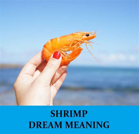 Dream Interpretation: Decoding the Symbolism of Receiving Shrimp
